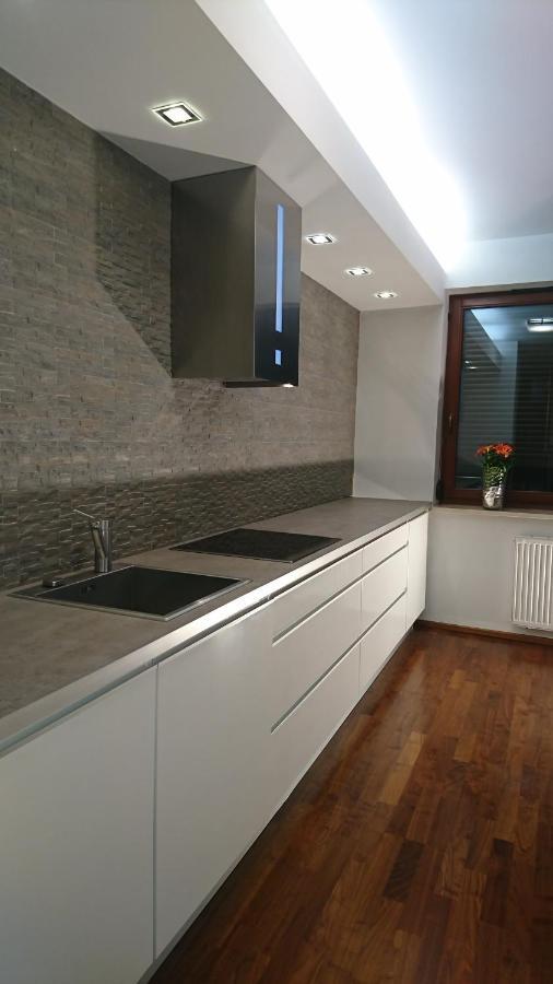 Quiet And Spacious Apartment With Garage Option Kraków Exteriör bild